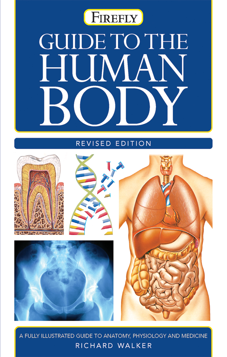 Guide to the Human Body | Walker, Richard