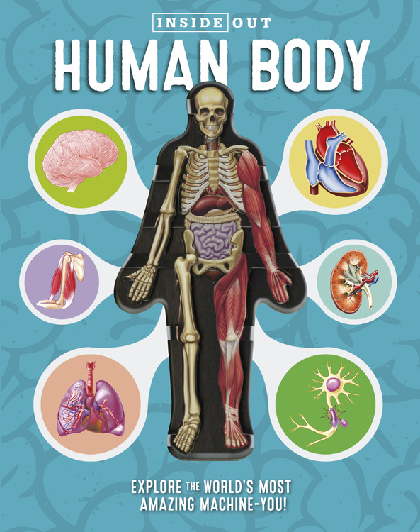 Inside Out Human Body : Explore the World's Most Amazing Machine-You! | Columbo, Luann