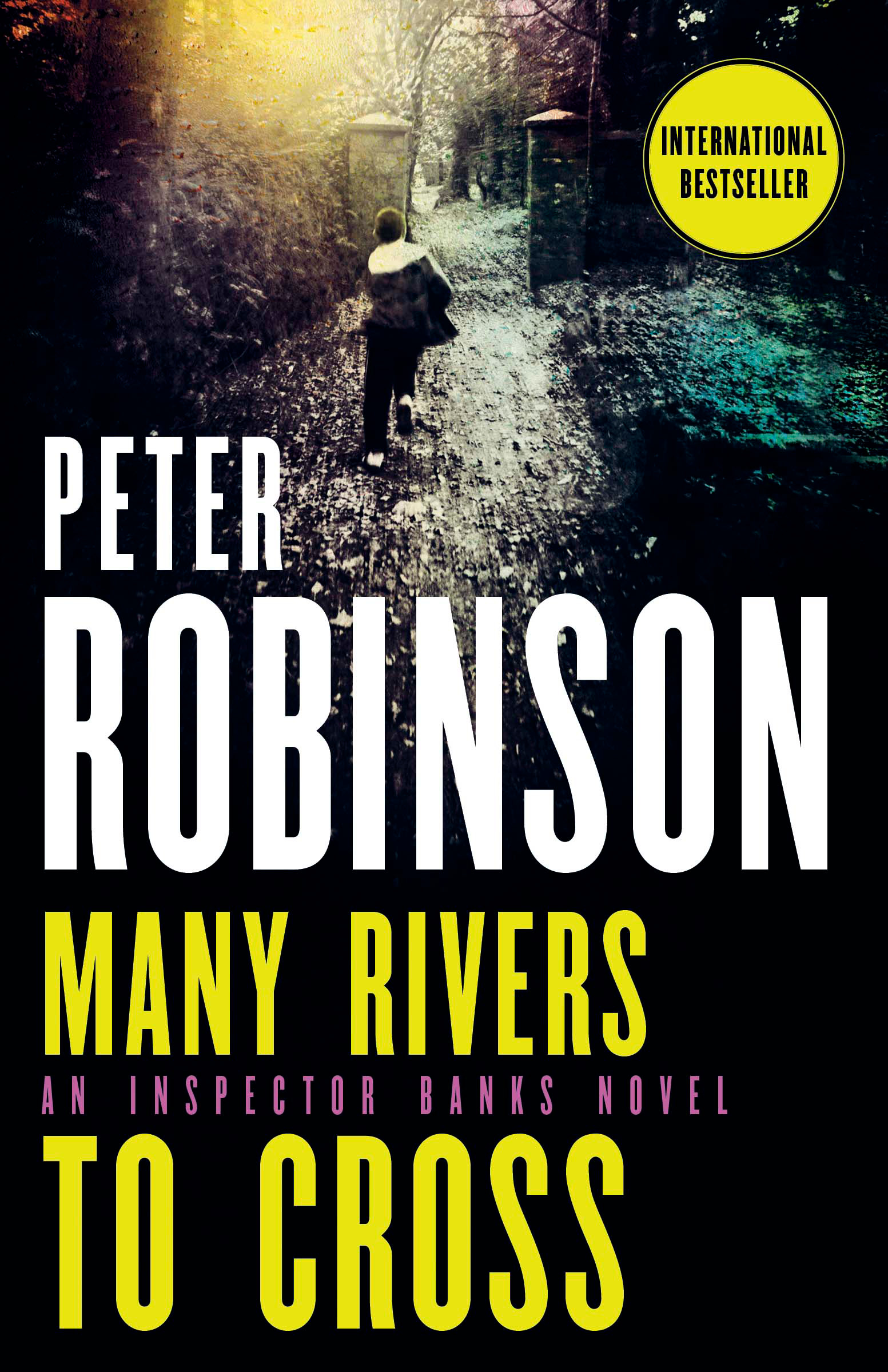 Many Rivers to Cross | Robinson, Peter