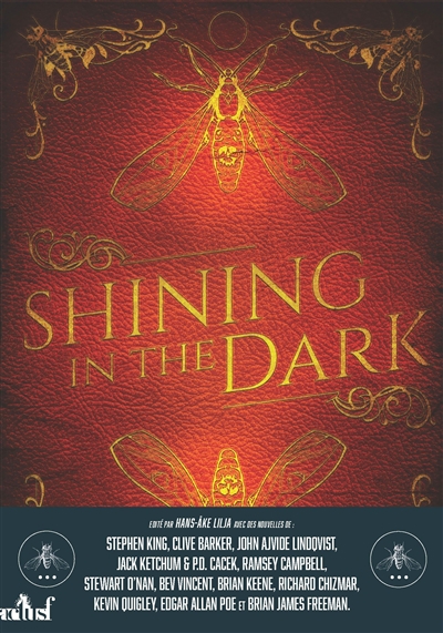 Shining in the dark | Stephen King Clive Barker Kevin Quigley Jack Ketchum Bev Vincent Brian Keene Brian Freeman Richard Chizmar Ramsey Campbell
