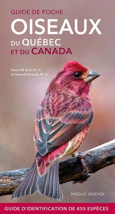 Oiseaux du Québec et du Canada - Guide de poche   | Bird, David M.