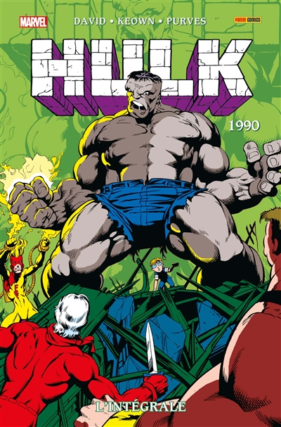 Hulk : l'intégrale - 1990 | David, Peter