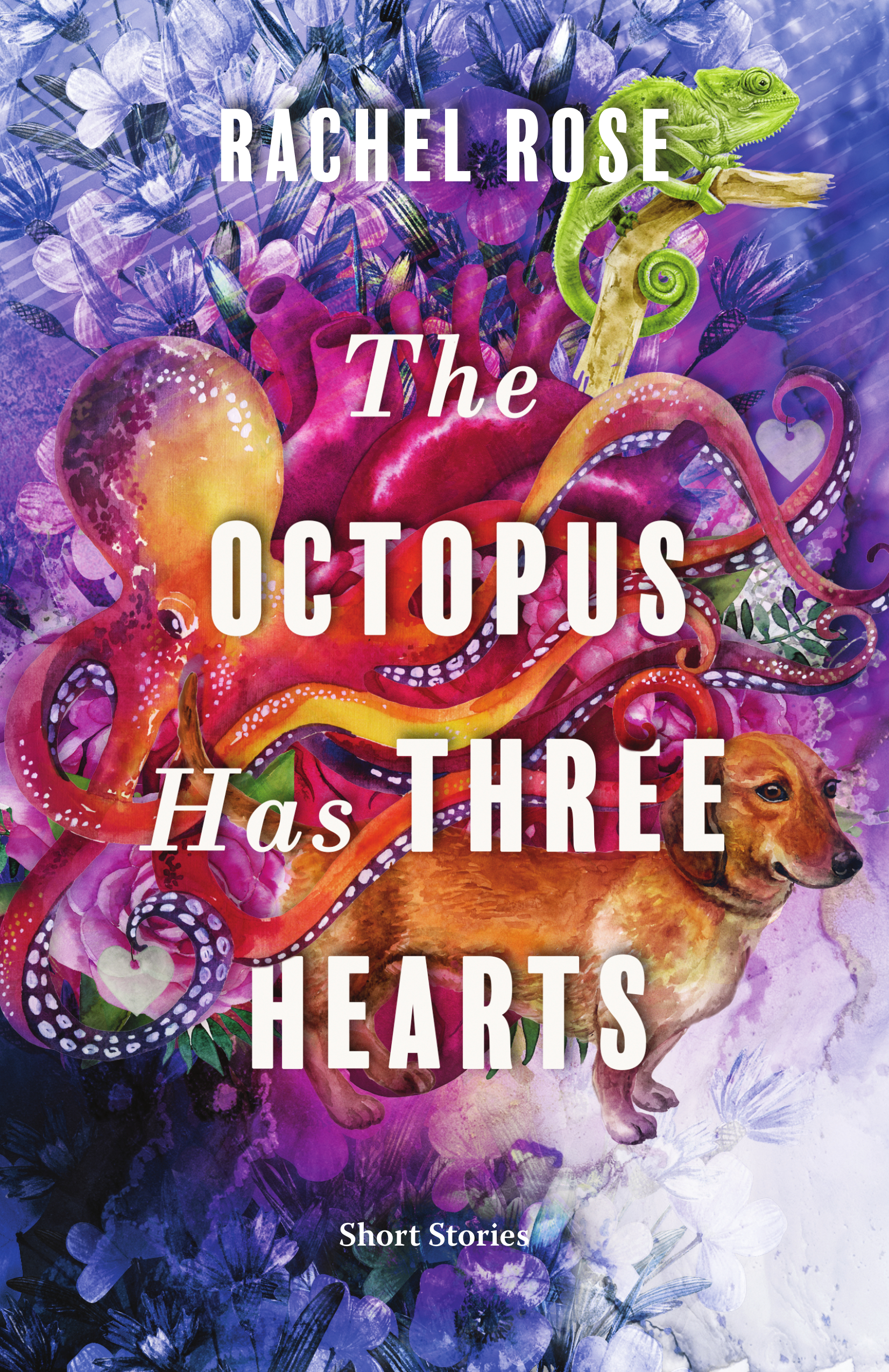 Octopus Has Three Hearts | Rose, Rachel