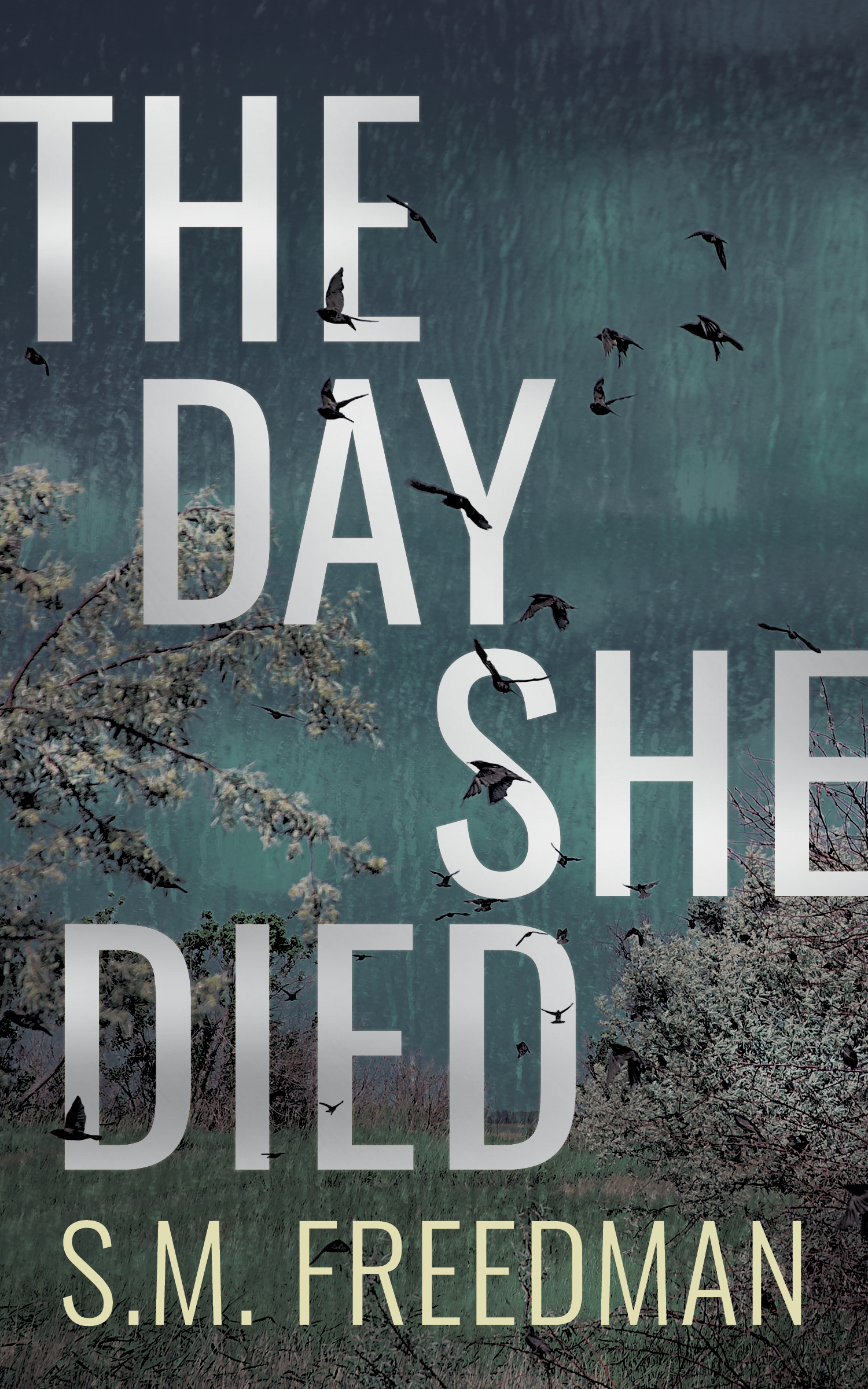 Day She Died (The) | Freedman, S.M.