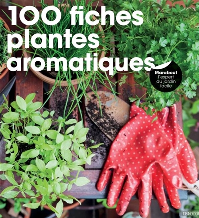 100 fiches plantes aromatiques | 