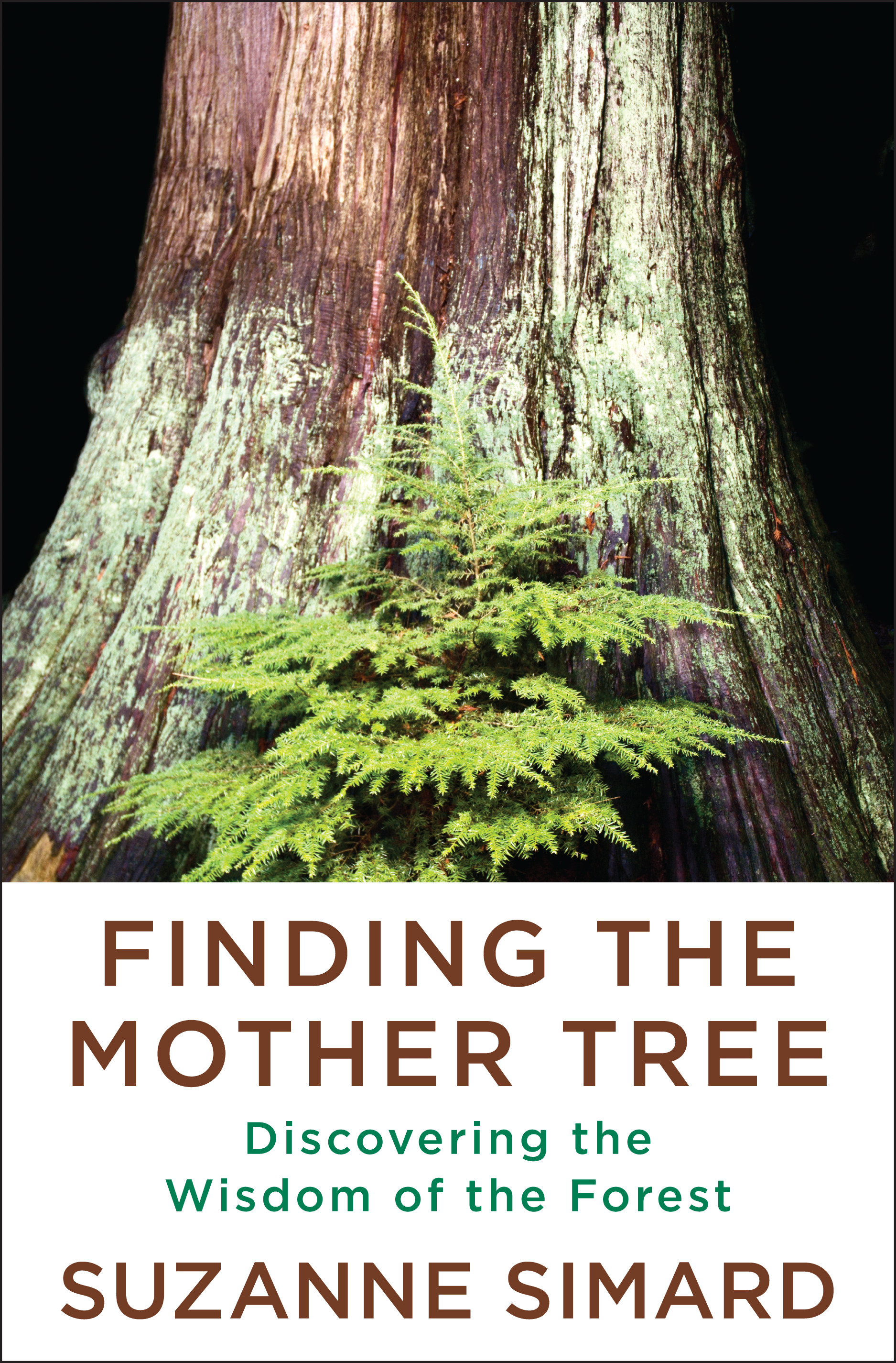 Finding the Mother Tree : Discovering the Wisdom of the Forest | Simard, Suzanne