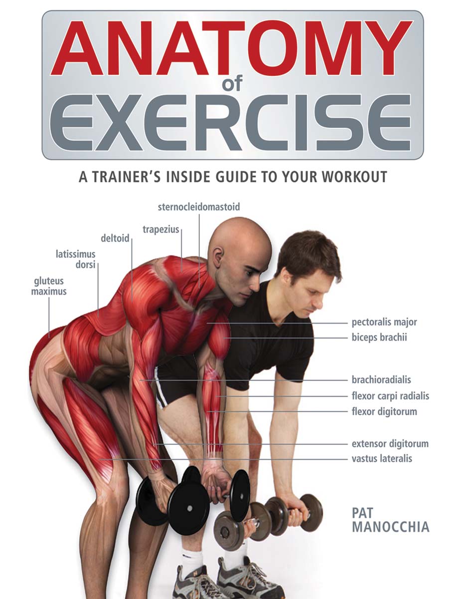 Anatomy of Exercise : A Trainer's Inside Guide to Your Workout | Manocchia, Pat