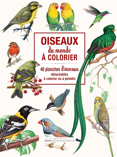 Oiseaux du monde à colorier : 40 planches d'oiseaux détachables à colorier ou à peindre  | 