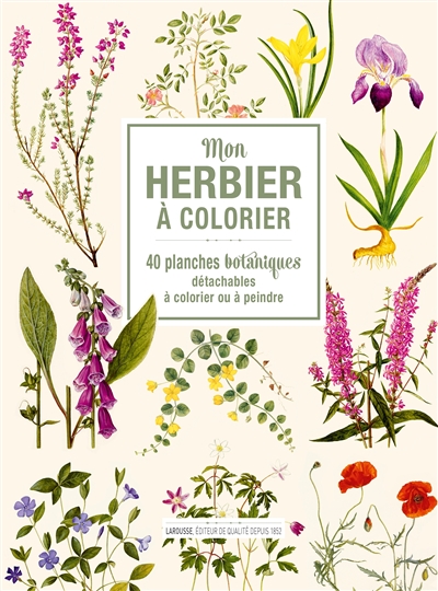 Mon herbier à colorier : 40 planches botaniques détachables à colorier ou à peindre | 