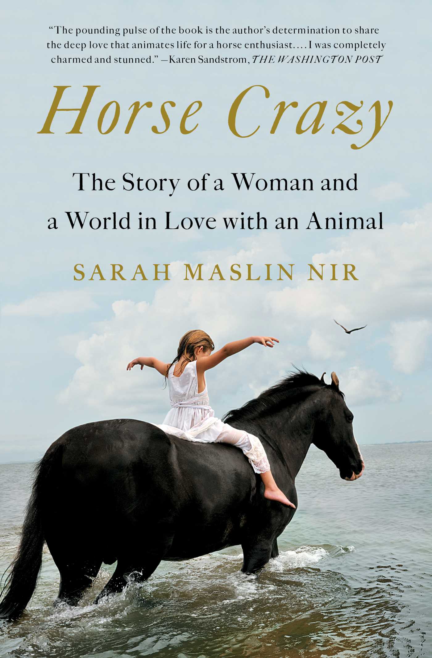 Horse Crazy : The Story of a Woman and a World in Love with an Animal | Maslin Nir, Sarah