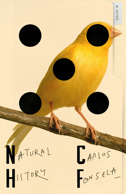 Natural History | Fonseca, Carlos