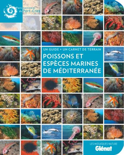 Poissons et espèces marines de méditerranée | Parc national Port-Cros