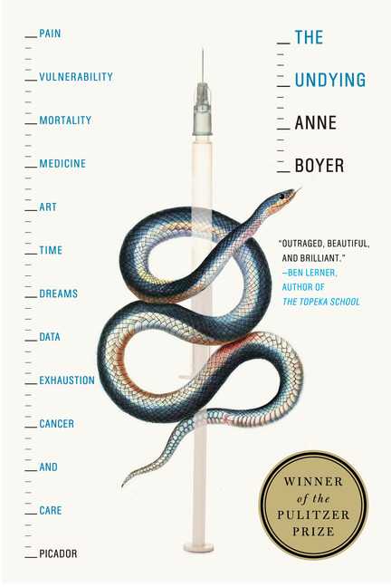 The Undying : Pain, vulnerability, mortality, medicine, art, time, dreams, data, exhaustion, cancer, and care | Boyer, Anne