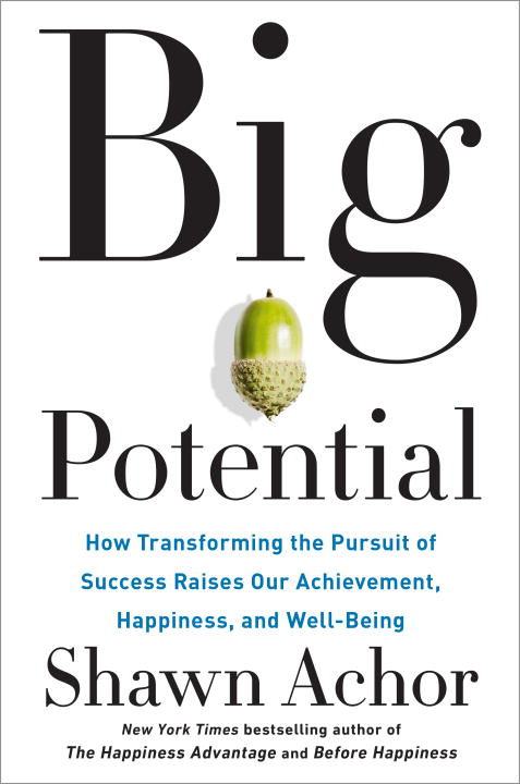 Big Potential : How Transforming the Pursuit of Success Raises Our Achievement, Happiness, and Well-Being | Achor, Shawn