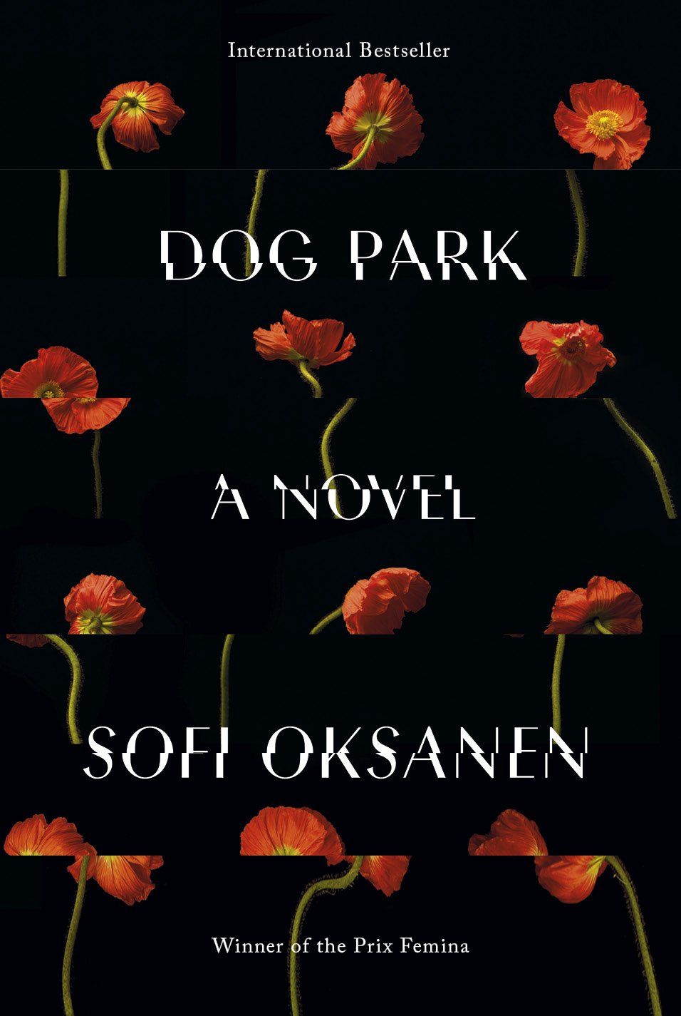Dog Park | Oksanen, Sofi
