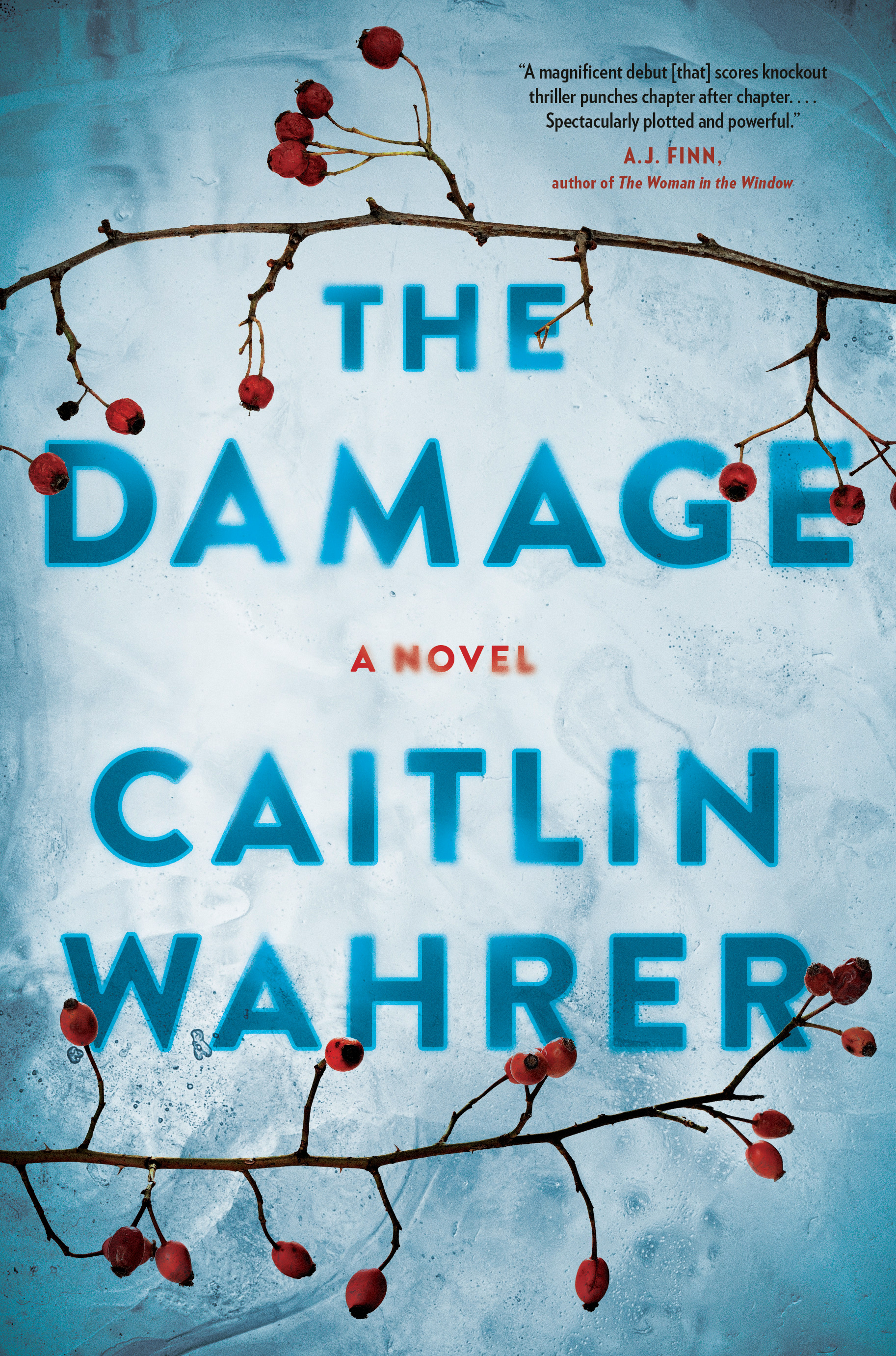 The Damage | Wahrer, Caitlin