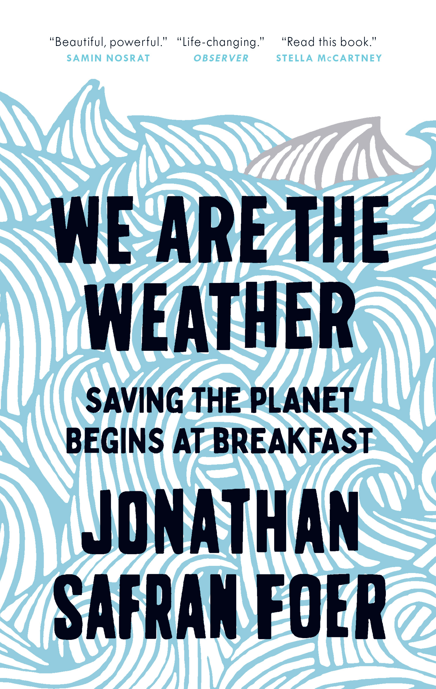 We Are the Weather : Saving the Planet Begins at Breakfast | Foer, Jonathan Safran
