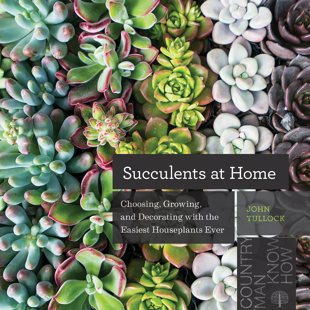 Succulents at Home : Choosing, Growing, and Decorating with the Easiest Houseplants Ever | Tullock, John