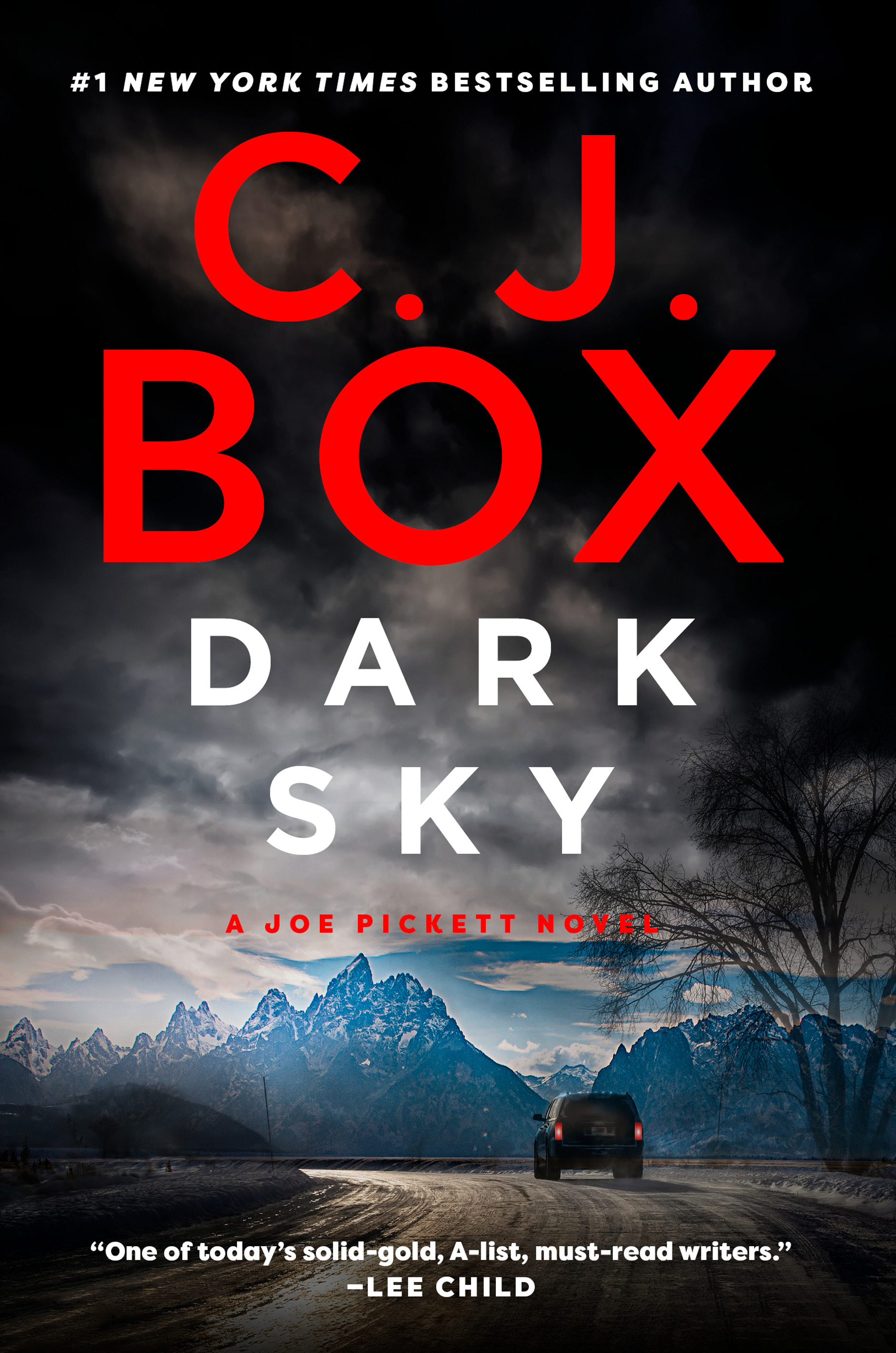 Dark Sky | Box, C. J.