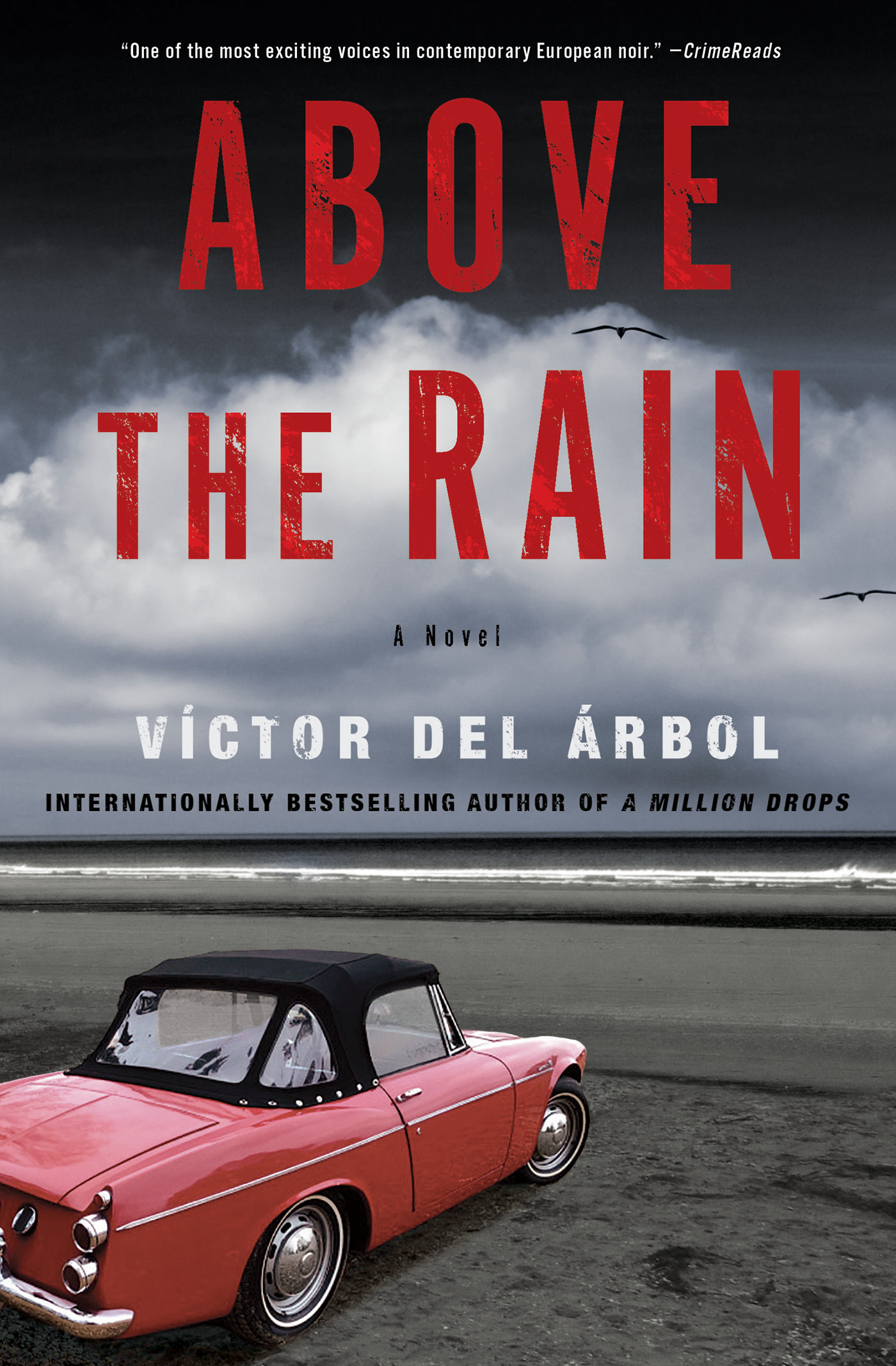 Above the Rain | del Árbol, Víctor