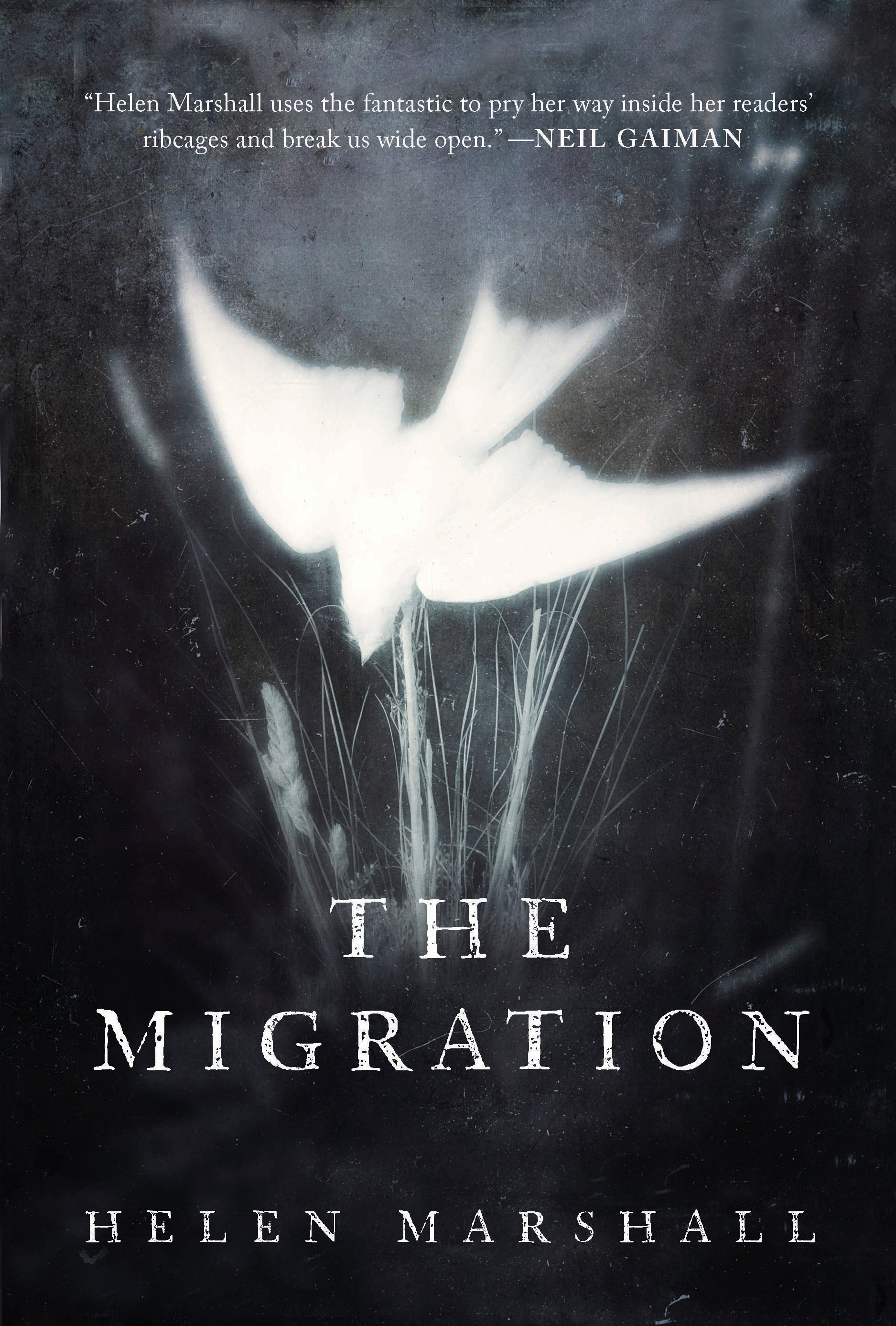 The Migration | Marshall, Helen