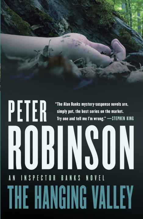 The Hanging Valley | Robinson, Peter