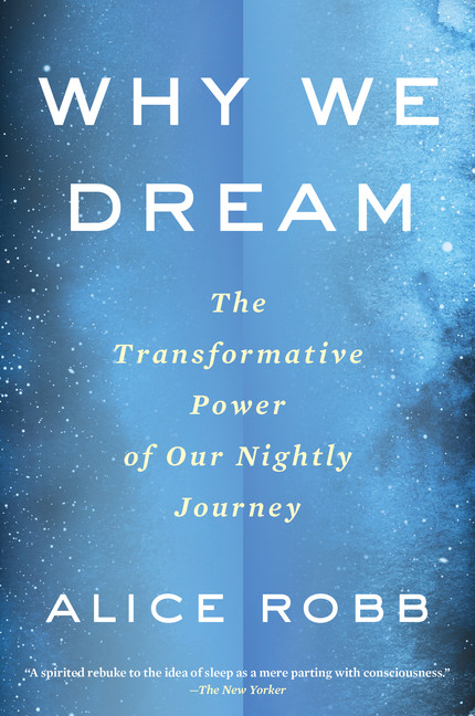 Why We Dream : The Transformative Power of Our Nightly Journey | Robb, Alice