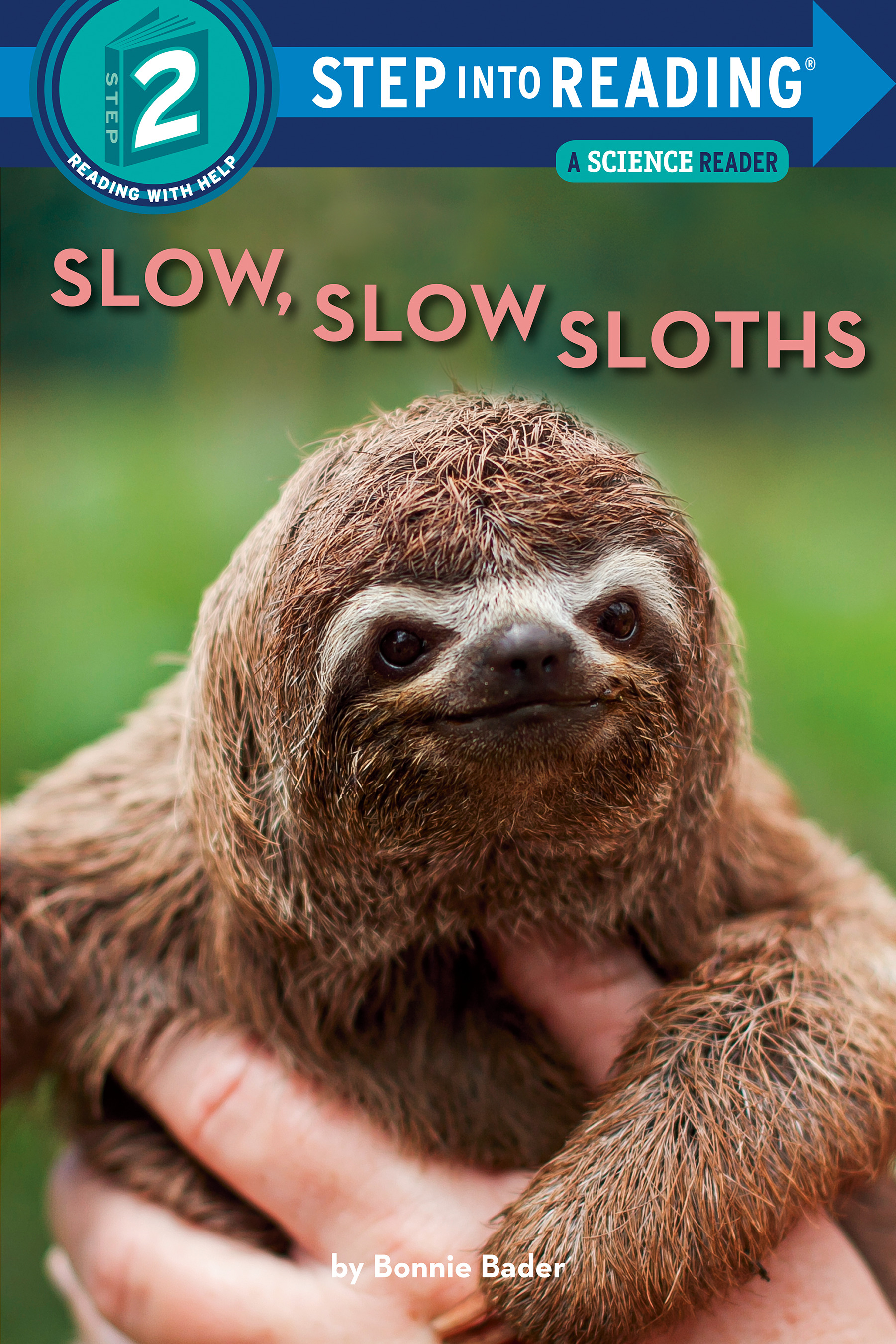 Slow, Slow Sloths (level 2) | Bader, Bonnie