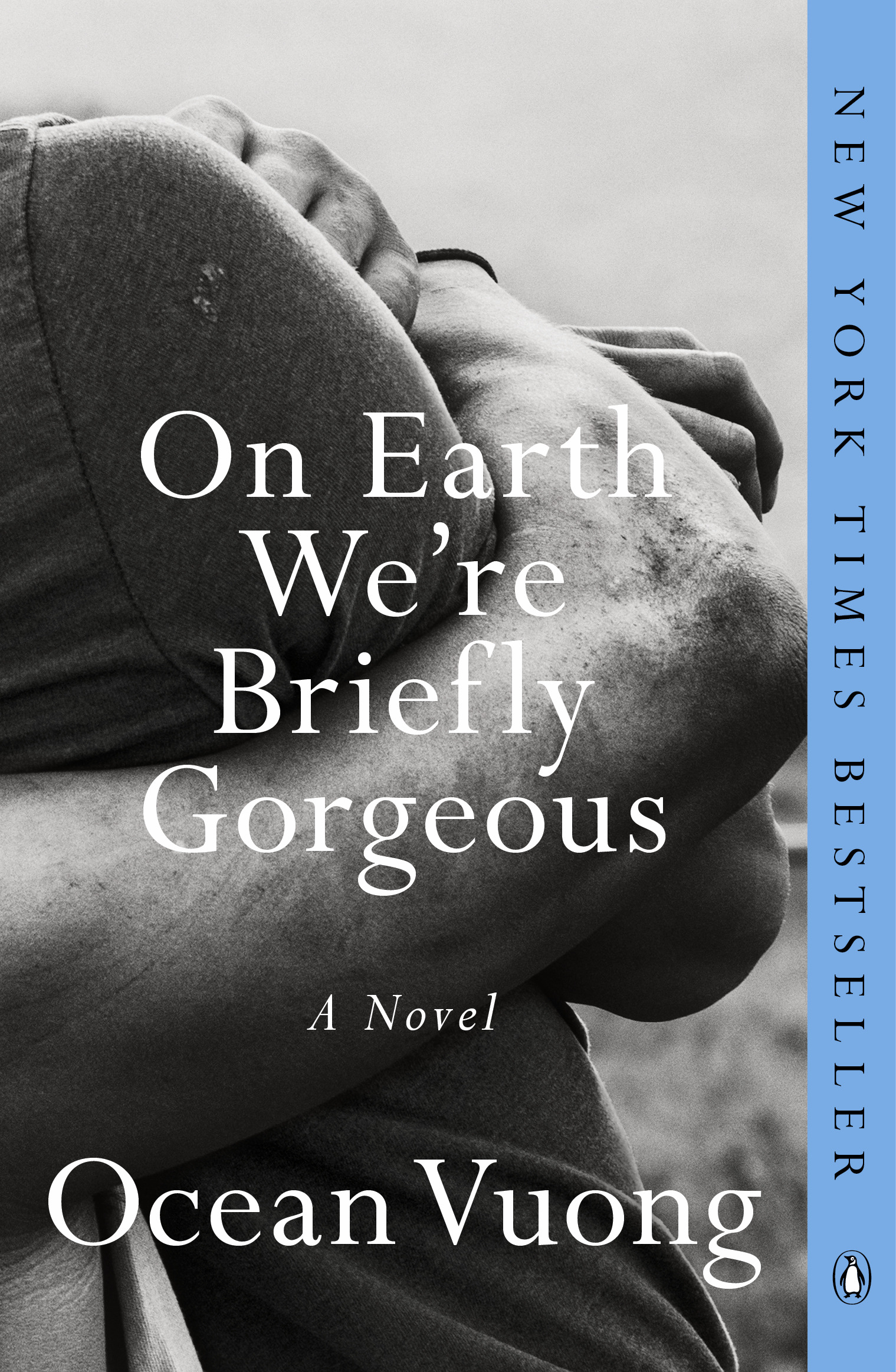 On Earth We're Briefly Gorgeous : A Novel | Vuong, Ocean