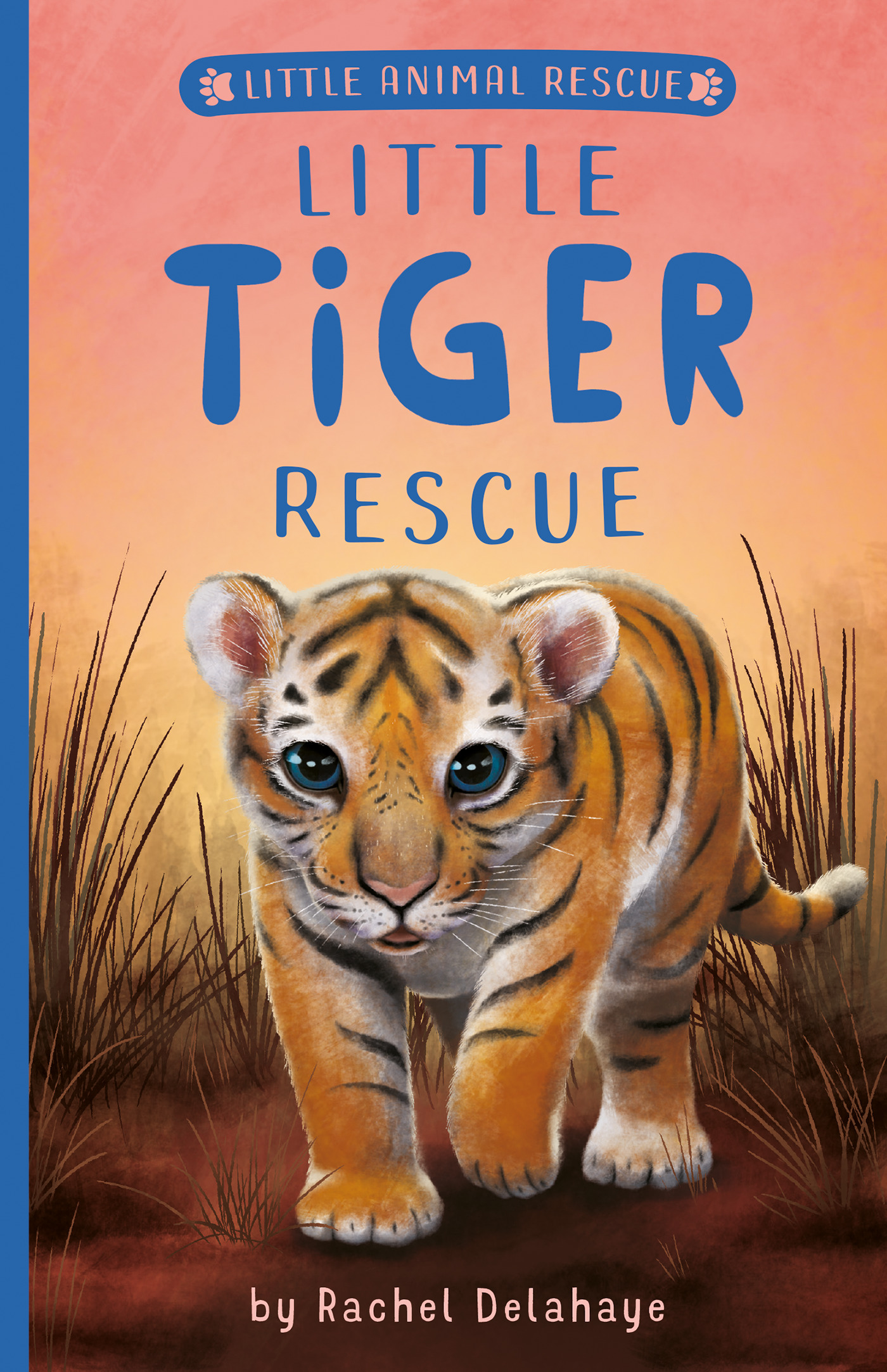 Little Tiger Rescue | Delahaye, Rachel