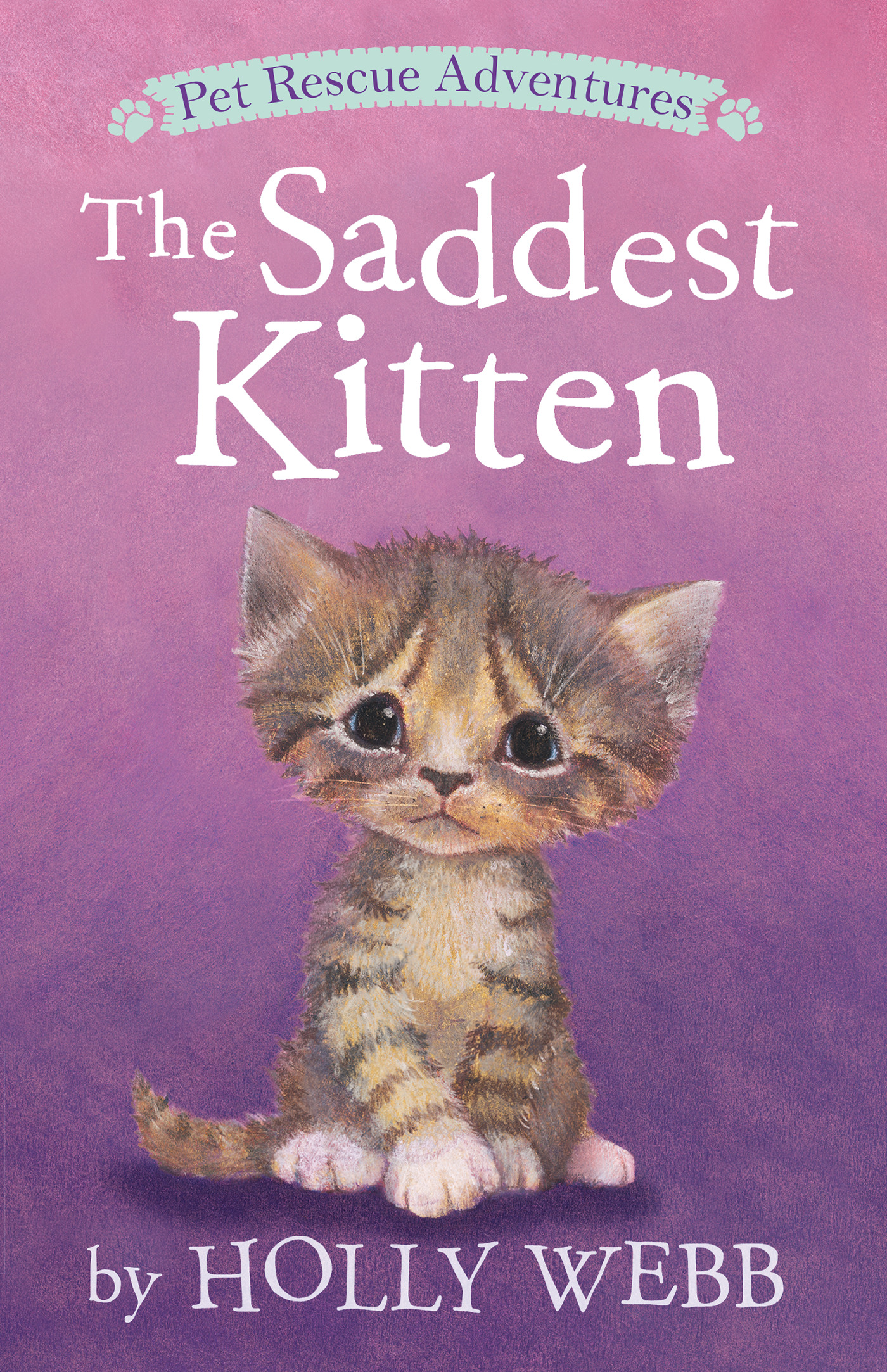 Pet Rescue Adventures - The Saddest Kitten | Webb, Holly