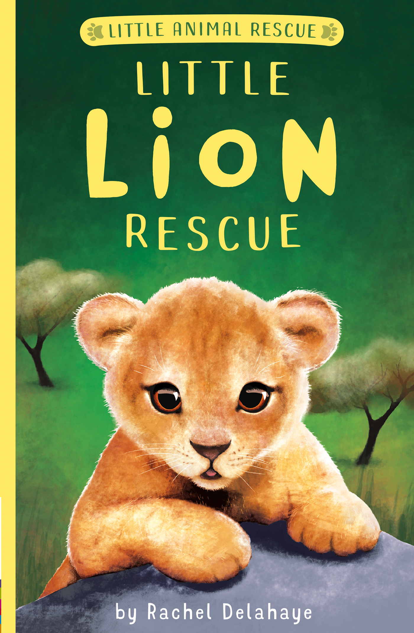 Little Animal Rescue - Little Lion Rescue | Delahaye, Rachel