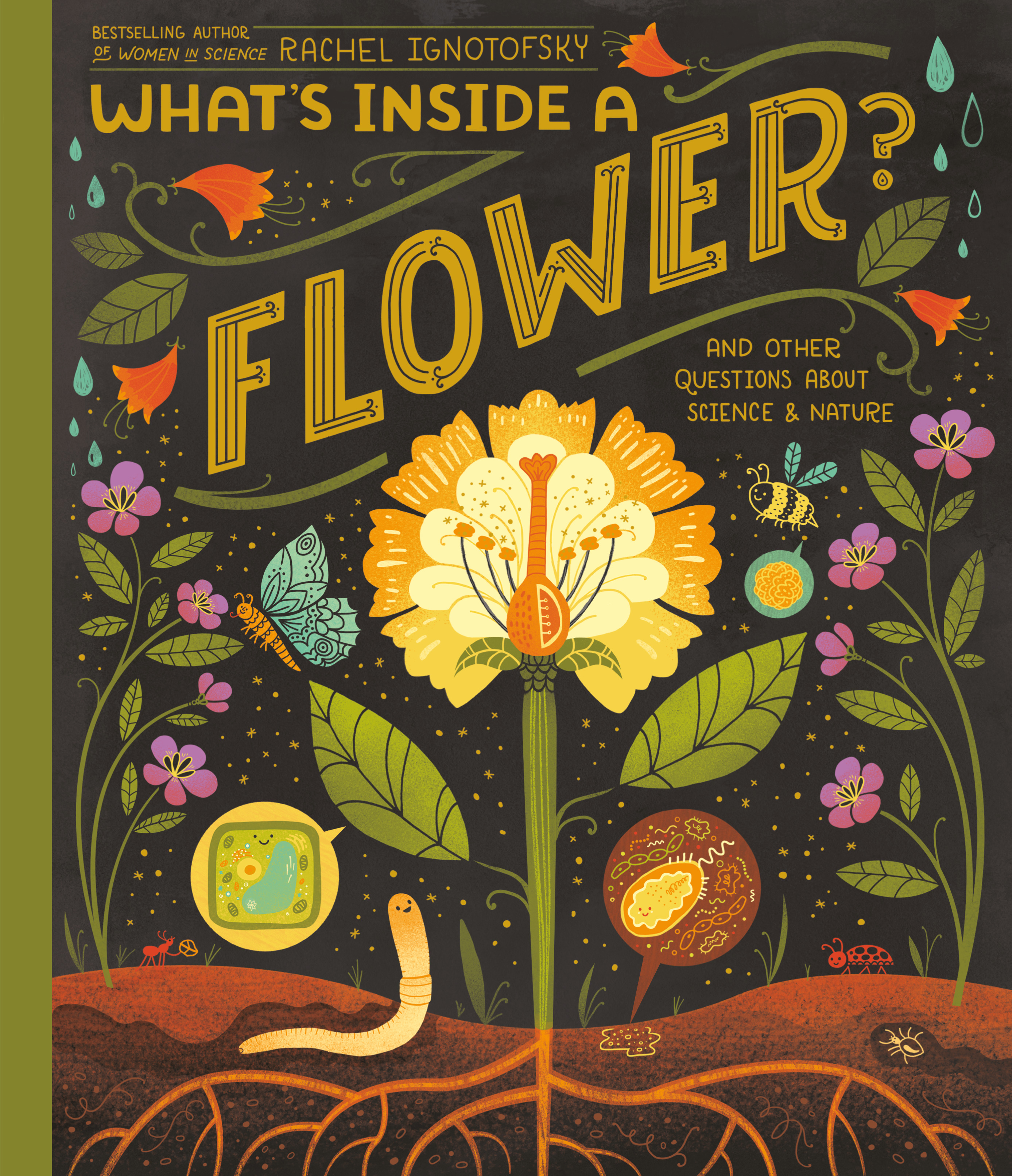 What's Inside A Flower? : And Other Questions About Science & Nature | Ignotofsky, Rachel