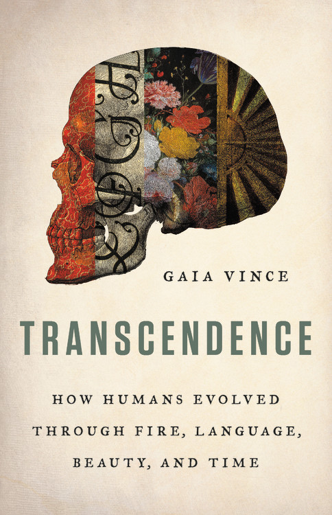 Transcendence : How Humans Evolved through Fire, Language, Beauty, and Time | Vince, Gaia