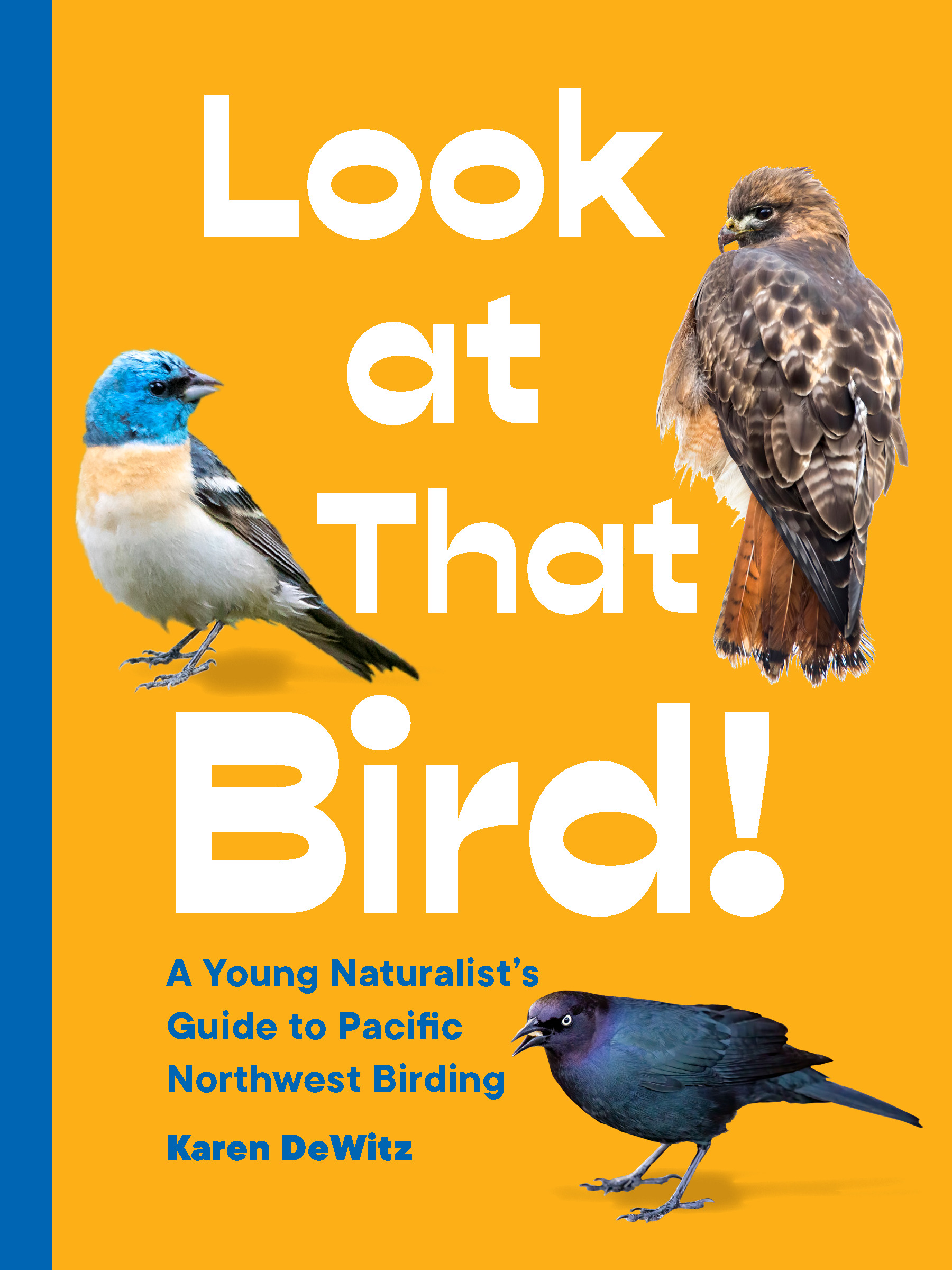 Look at That Bird! : A Young Naturalist's Guide to Pacific Northwest Birding | DeWitz, Karen