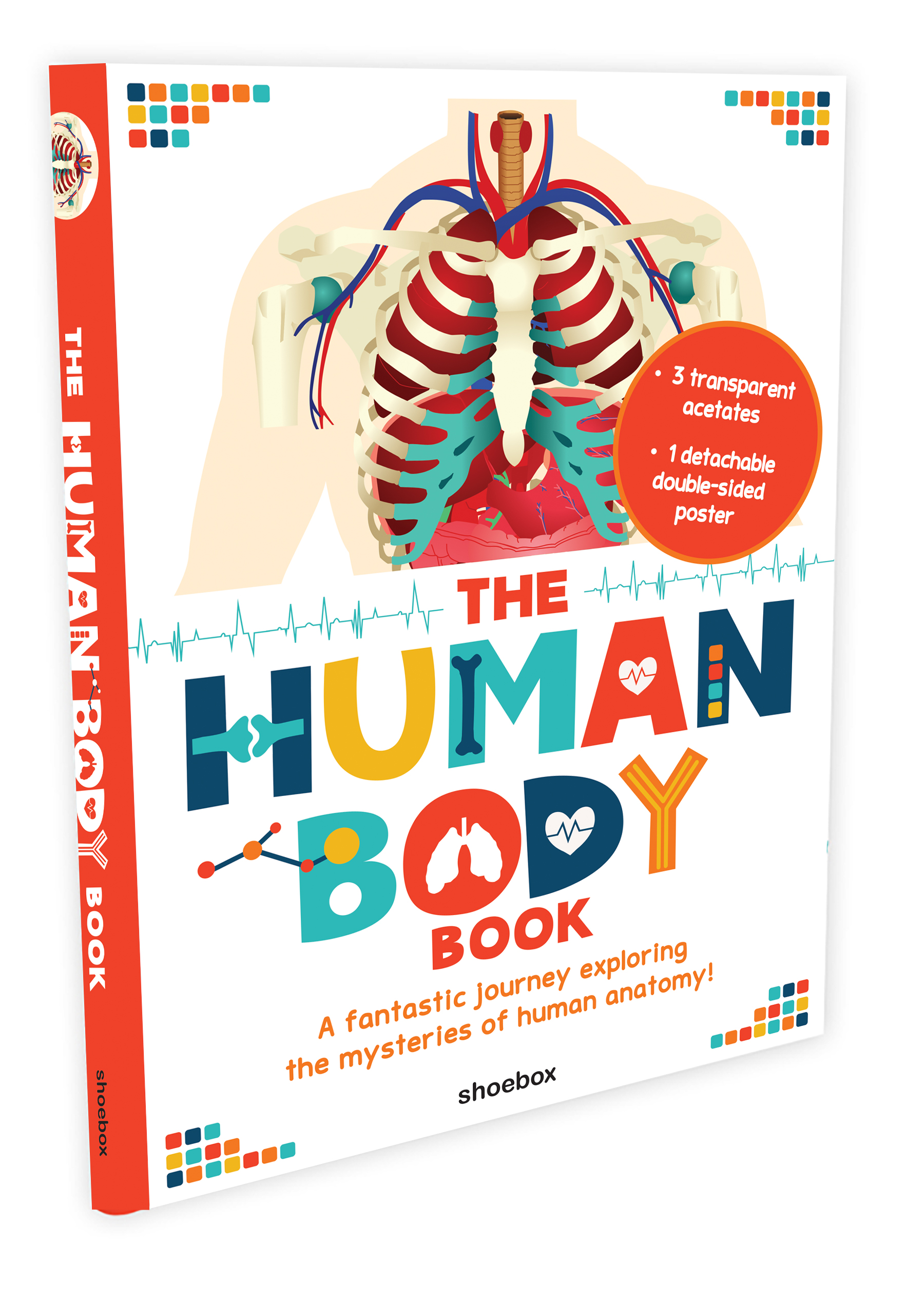 The human body book | Brougere, Maud