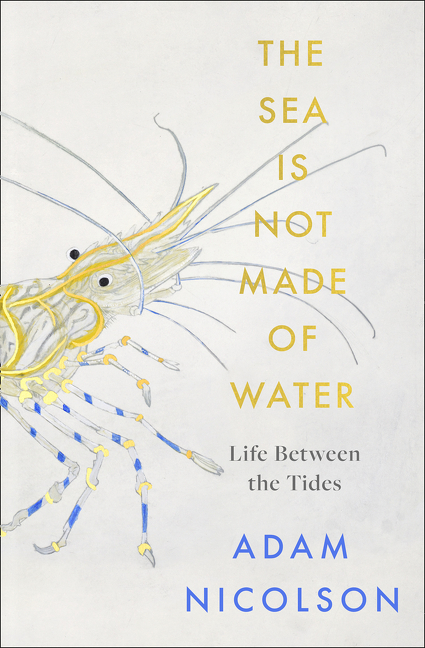 The Sea is Not Made of Water: Life Between the Tides | Nicolson, Adam