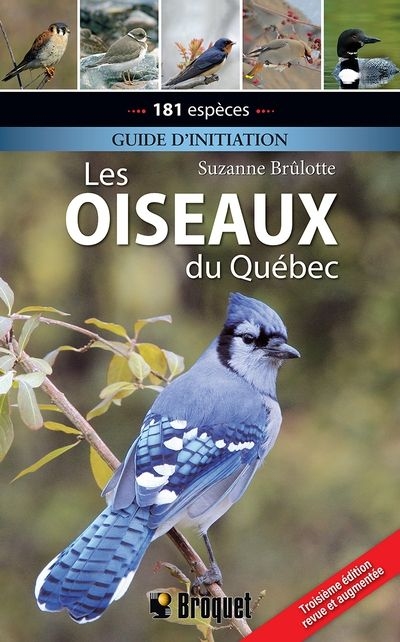 Oiseaux du Québec (Les) : Guide d'initiation, 3e édition | Brûlotte, Suzanne