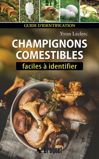 Champignons comestibles faciles à identifier : Guide d'identification | Leclerc, Yvon