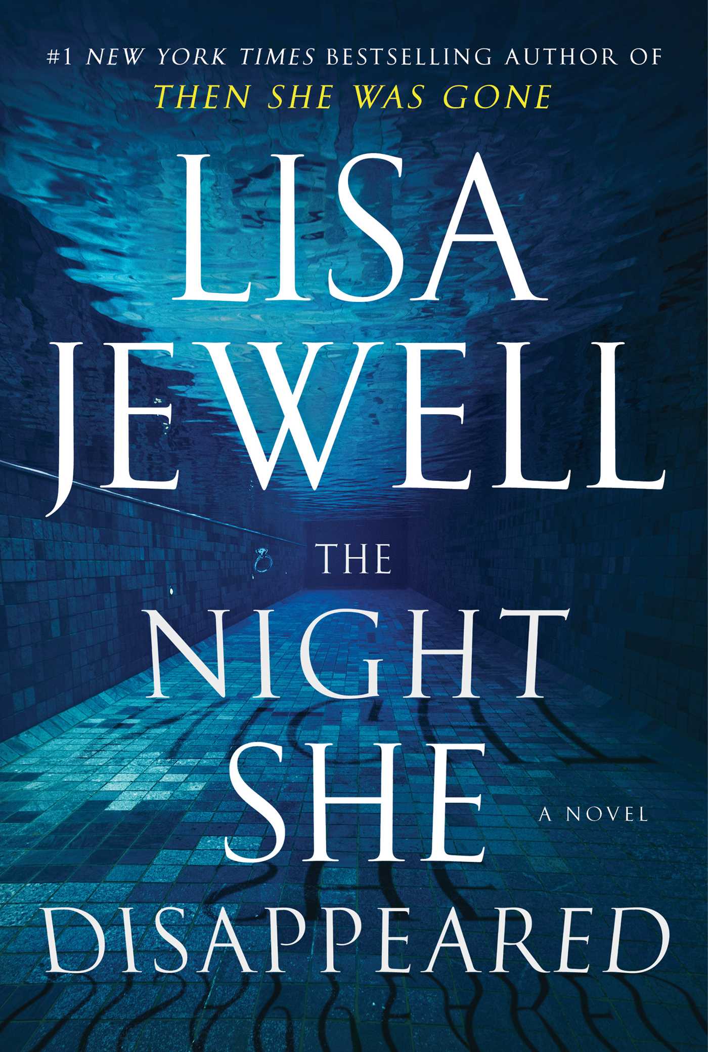 The Night She Disappeared : A Novel | Jewell, Lisa
