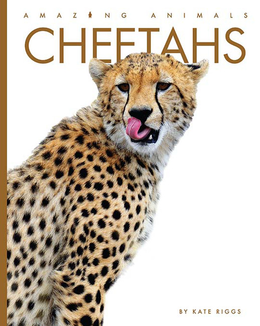 Cheetahs | Riggs, Kate