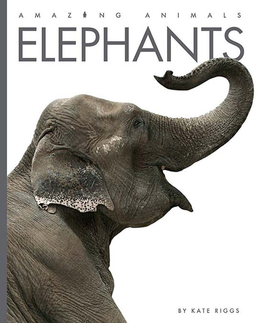 Elephants | Riggs, Kate