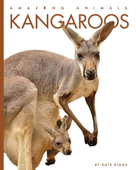 Amazing Animals - Kangaroos | Riggs, Kate
