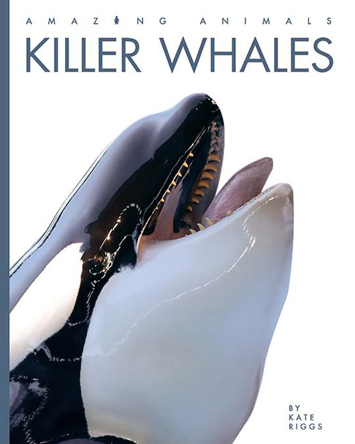 Amazing Animals - Killer Whales | Riggs, Kate