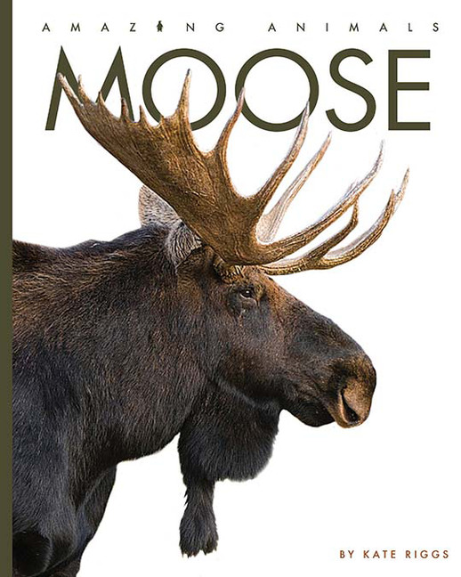 Amazing Animals - Moose | Riggs, Kate