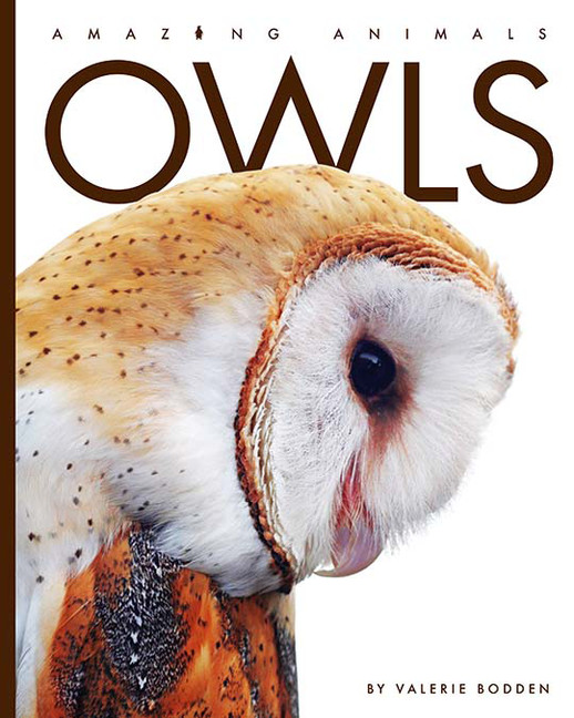 Amazing Animals - Owls | Bodden, Valerie