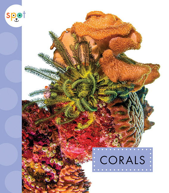 Spot Ocean Animals - Corals | Schuh, Mari