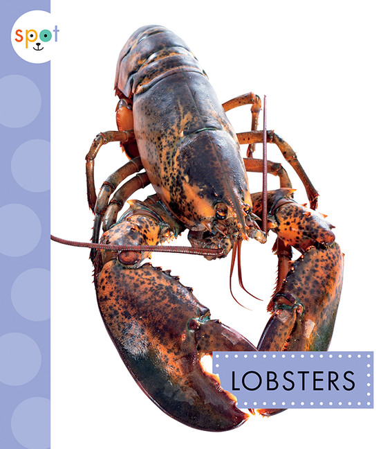 Spot Ocean Animals - Lobsters | Schuh, Mari
