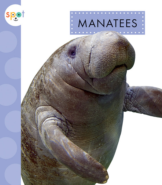 Spot Ocean Animals - Manatees | Schuh, Mari