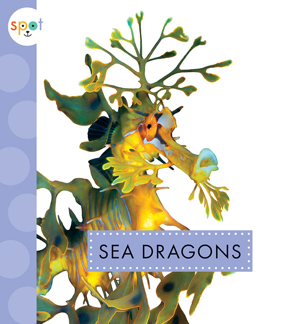Spot Ocean Animals - Sea Dragons | Schuh, Mari